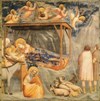giotto-nativity-jesus-100x101