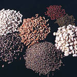 seeds