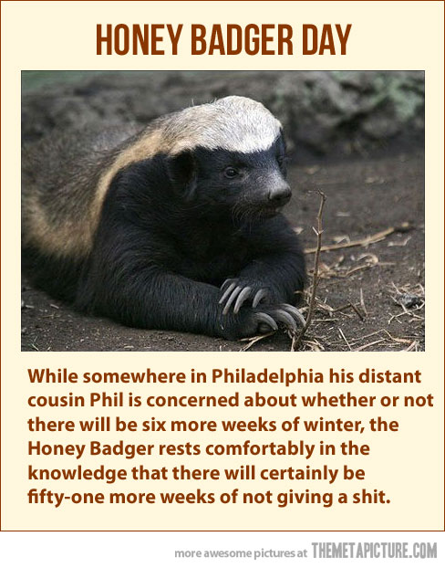 funny-honey-badger-dont-care-give-a-damn