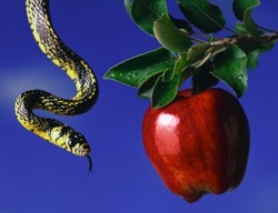snake-apple-original-sin