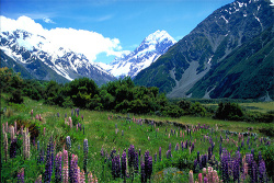 new-zealand-scenery